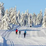 Authentic Log Near By Hunderfossen And Hafjell *