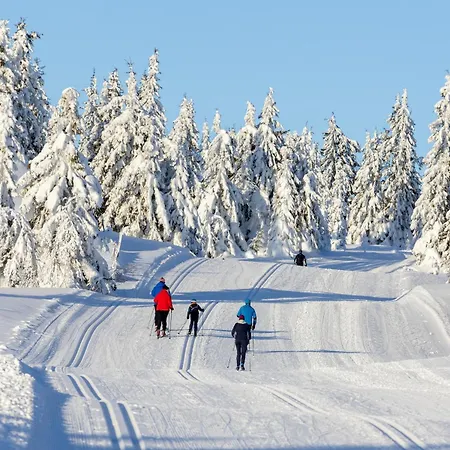 Authentic Log Near By Hunderfossen And Hafjell *